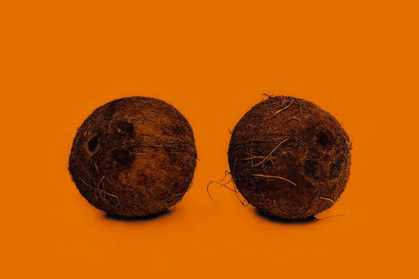 two coconuts that look like testicles