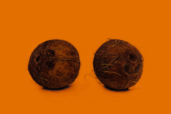 two coconuts that look like testicles